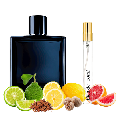 S&V Parfum – įkvėptas „Bleu de Chanel"